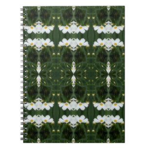 Fleurs de Cosmos blanc Carnet d'art Abstrait