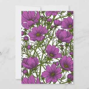 Fleurs de cosmos violet