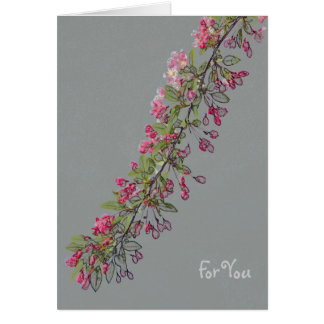 Fleurs de Crabapple de Central Park