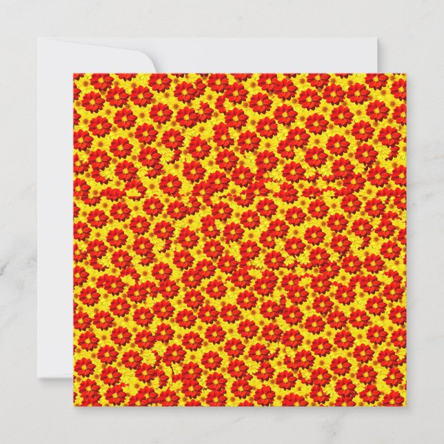 Fleurs de dahlia rouges et jaunes (Devant)