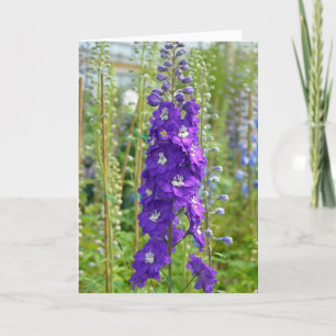 Fleurs de delphinium violet imprimer carte de voeu