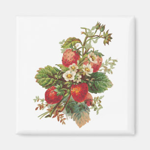 Fleurs de fraises Magnets