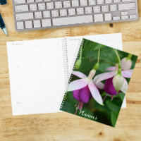 Fleurs de Fuchsia Violettes avec Sépales Blancs Fl