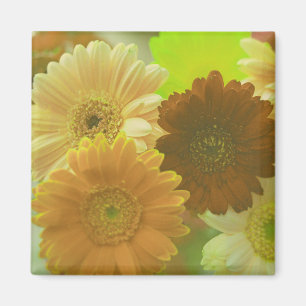 Fleurs de Gérbera Jaune Aimants pour Réfrigérateur