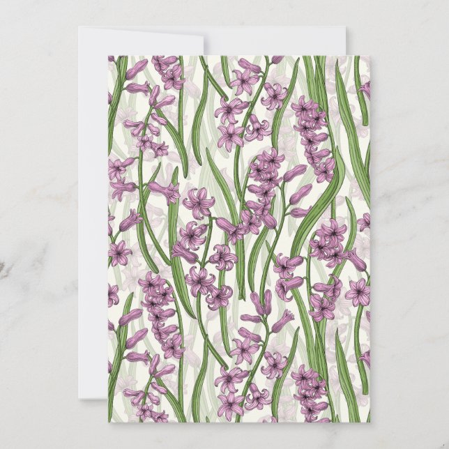 Fleurs de Hyacinth rose sur blanc naturel (Devant)