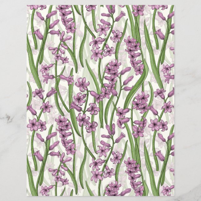 Fleurs de Hyacinth rose sur blanc naturel (Devant)
