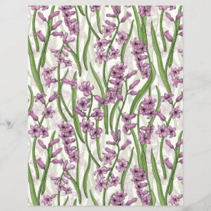 Fleurs de Hyacinth rose sur blanc naturel