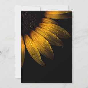 Fleurs de jardin 28 tournesol