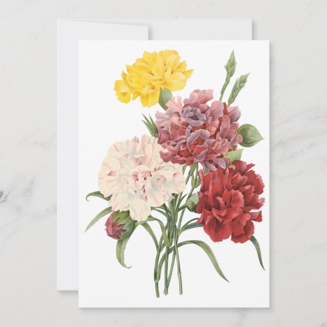 Fleurs de Jardin d'Oeillets par Redoute Invitation (Devant)