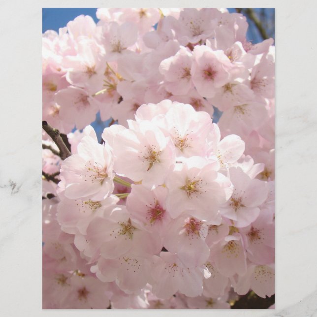 Fleurs de l'arbre rose papier scrapbooking (Devant)