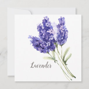Fleurs de lavande Aquarelle Vierge Carte de voeux
