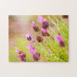 Fleurs de Lavande Française Puzzle