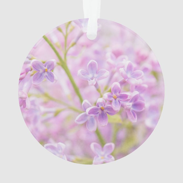 Fleurs de Lilas Brume (dos)
