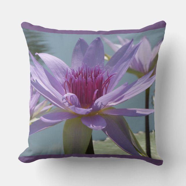 Fleurs de Lotus pourpres Près Haut Jeu Oreiller (Recto)