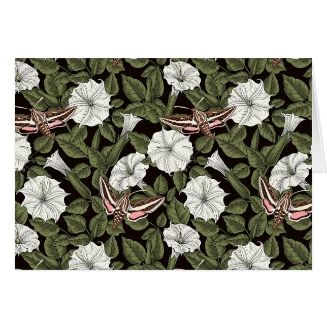 Fleurs de lune et sphinx Mois (Devant horizontal)