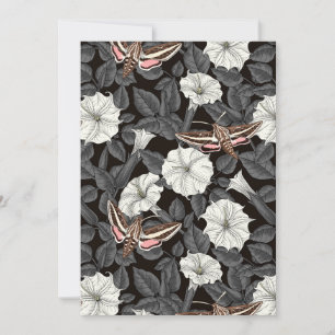 Fleurs de lune et sphinx Moths 2