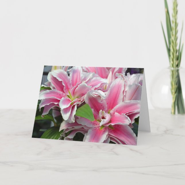 Fleurs de lys stargazer rose carte de voeux (Devant)
