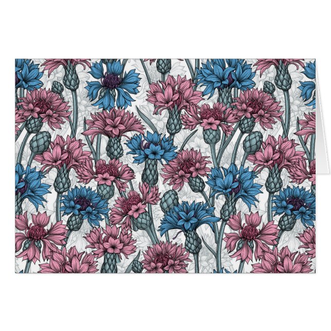 Fleurs de maïs roses et bleues, fleurs sauvages su (Devant horizontal)