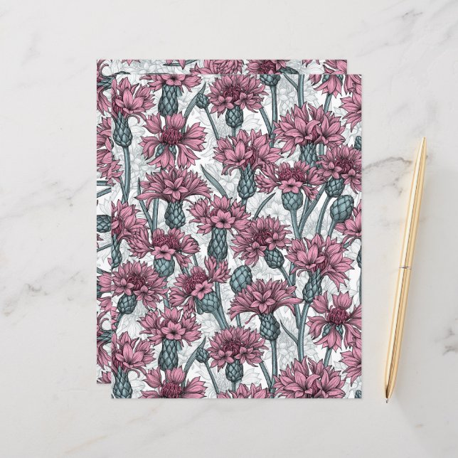 Fleurs de maïs roses, fleurs sauvages sur blanc (Devant/Arrière en situation)