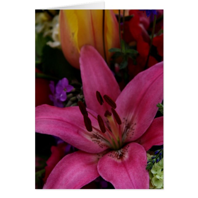 Fleurs de marché I (Devant)