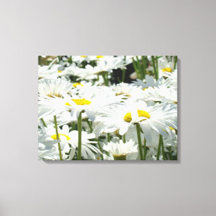 Fleurs de marguerite art décoratif Toile Photograp