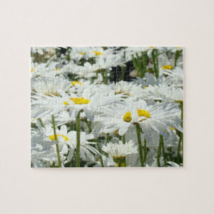 Fleurs de marguerite Jardin Puzzle Fun Time Puzzle
