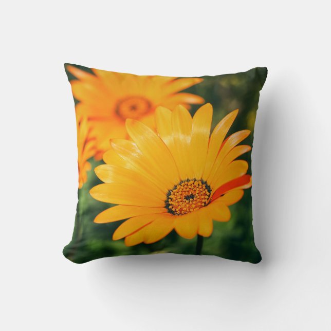 Fleurs de marguerite orange Happy Cushion Coussin (Recto)