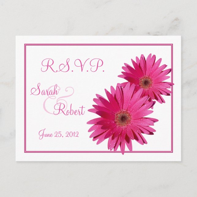 Fleurs de marguerite rose RSVP carte postale (Devant)