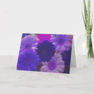 Fleurs de marguerite violette Note photo ou carte 