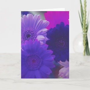 Fleurs de marguerite violette Note photo ou Cartes