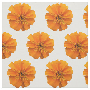 Fleurs de Marigold orange sur tissu blanc