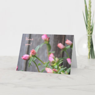 Fleurs de Merci Floral Rustique Contre clôture De 