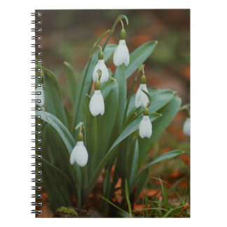 Fleurs de neige Carnet photo Spiral