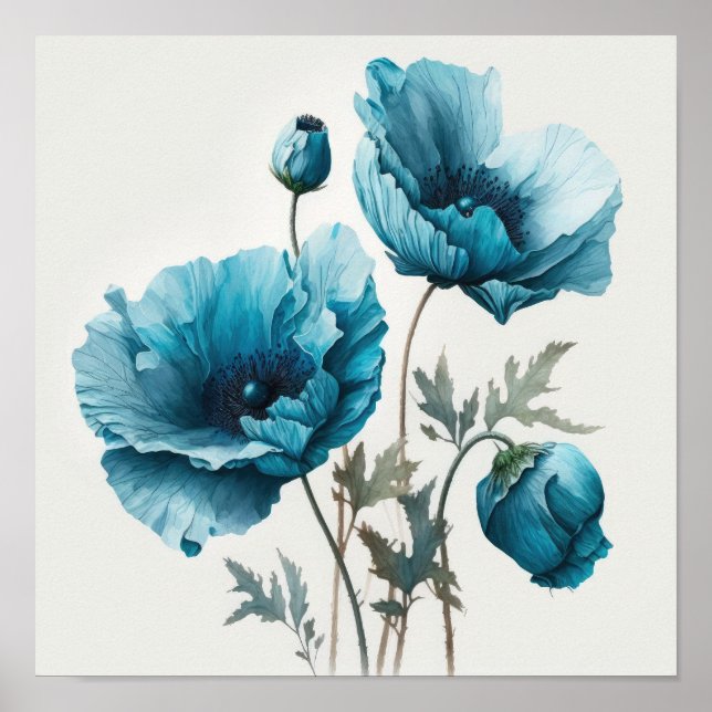 Fleurs de pavot bleu Art Imprimer Poster (Devant)