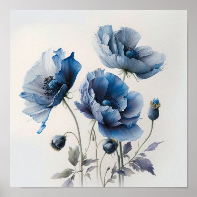 Fleurs de pavot bleu Art Imprimer Poster (Devant)