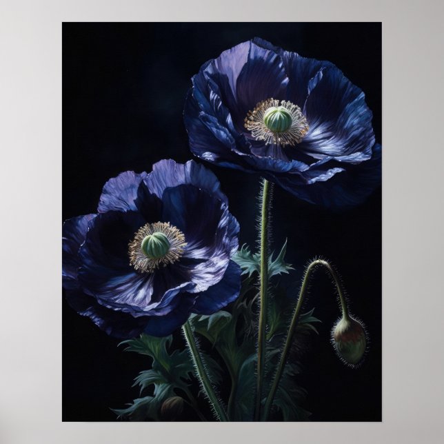 Fleurs de pavot bleu Art Imprimer Poster (Devant)