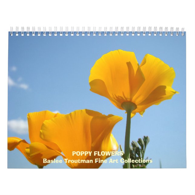 Fleurs de PAVOT de calendrier de pavots de (Protection)