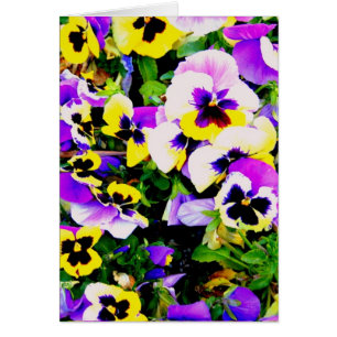 fleurs de pensée