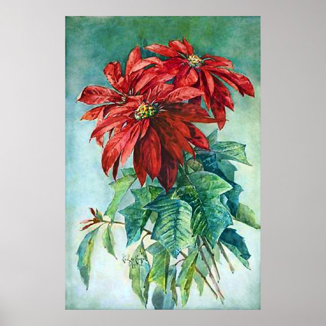 Fleurs de Poinsettia Rouges Affiche de Peinture Vi (Devant)