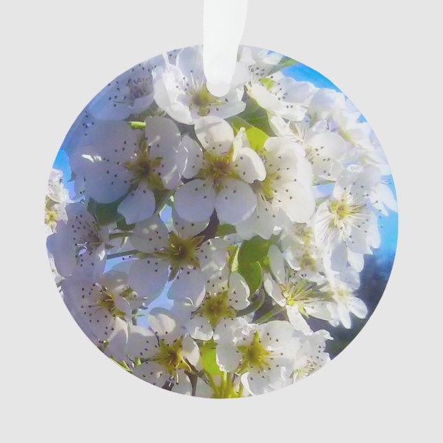 Fleurs de poires (devant)