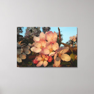 Fleurs de pomme rose doux en toile enveloppée