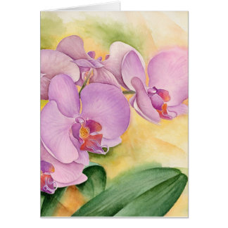 Fleurs de pourpre de rose d'orchidées de