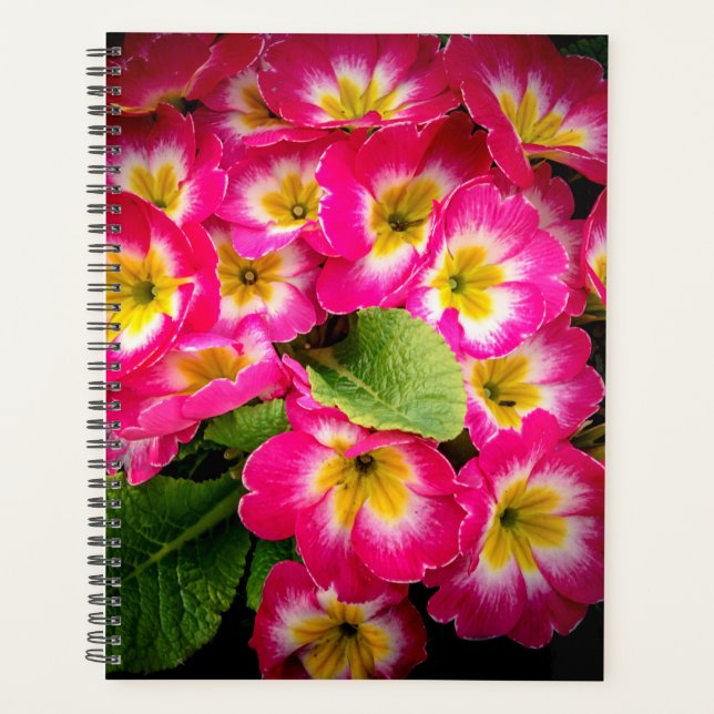 Fleurs de printemps 2024 (Devant)