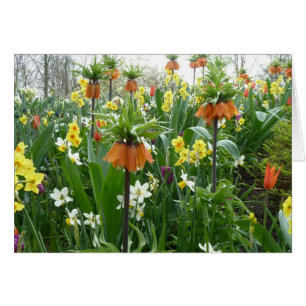 Fleurs de printemps amusantes - jaune et orange