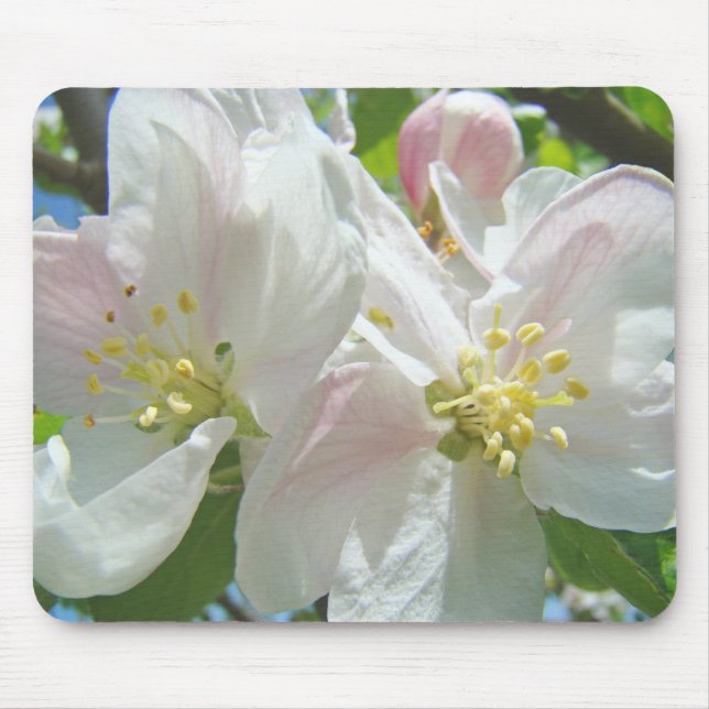 Fleurs de printemps de qualité de tapis de souris  (Devant)