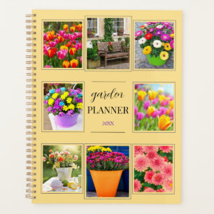 Fleurs de printemps Jardin d'été Plantes Jardin an