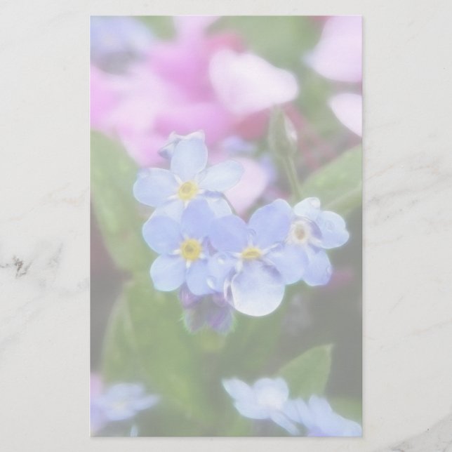 Fleurs De Printemps - Oubliez-Moi Les Nots Et Les  (Devant)