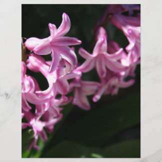 Fleurs de printemps rose-blanc