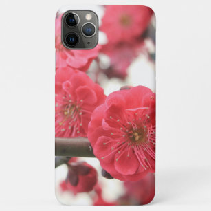 fleurs de prune rose coque iphone