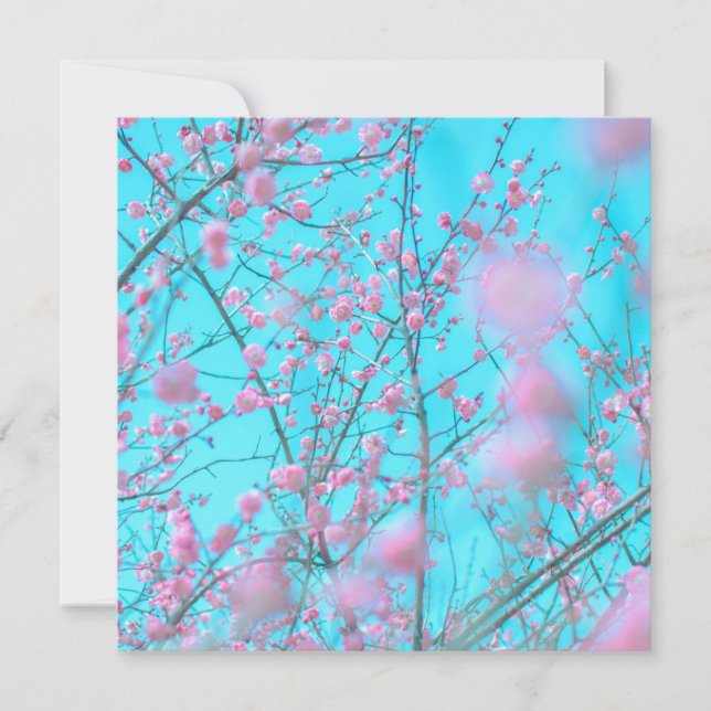 Fleurs de prunes (Suzhou, Chine) (Devant)